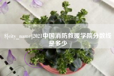 福州2021中国消防救援学院分数线是多少