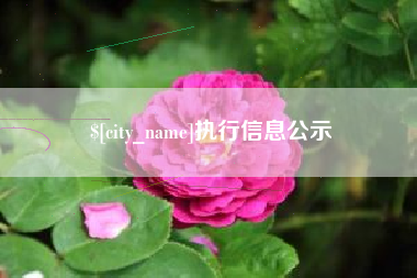 福州执行信息公示