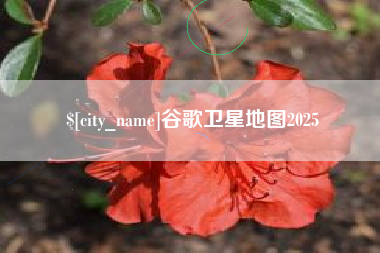 福州谷歌卫星地图2025