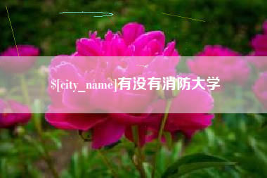 福州有没有消防大学