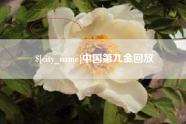福州中国第九金回放