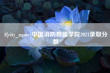 福州中国消防救援学院2021录取分数