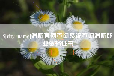 福州消防官网查询系统查询消防职业资格证书