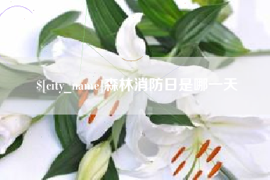 福州森林消防日是哪一天
