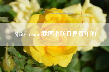 福州我国消防日是每年的