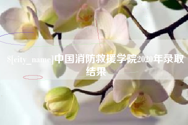 福州中国消防救援学院2020年录取结果