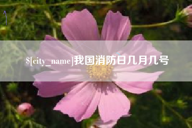 福州我国消防日几月几号