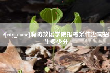 福州消防救援学院报考条件湖南招生多少分