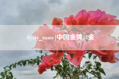 福州中国金牌18金