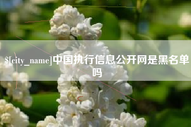 福州中国执行信息公开网是黑名单吗