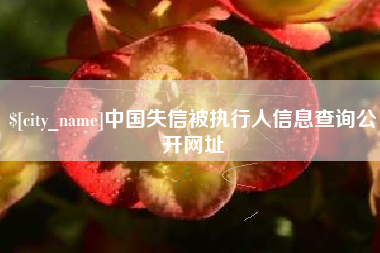 福州中国失信被执行人信息查询公开网址
