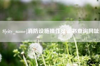 福州消防设施操作员证书查询网址