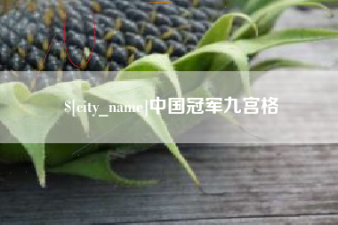 福州中国冠军九宫格