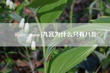 福州九宫为什么只有八卦