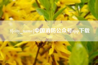 福州中国消防公众号app下载
