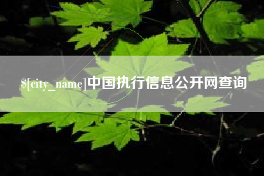 福州中国执行信息公开网查询