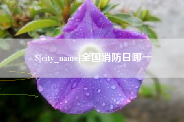 福州全国消防日哪一