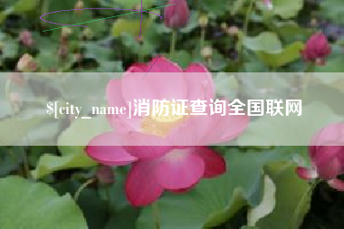 福州消防证查询全国联网