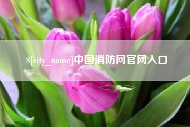 福州中国消防网官网入口