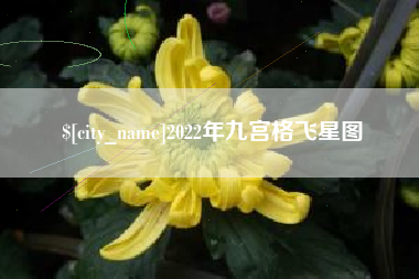 福州2022年九宫格飞星图