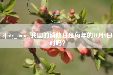 福州我国的消防日是每年的11月9日对吗？