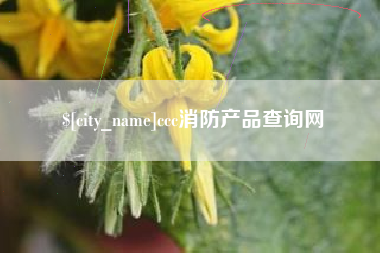 福州ccc消防产品查询网