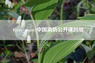 福州中国消防公开课回放