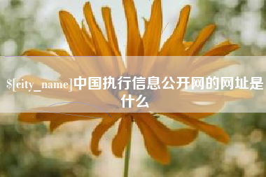 福州中国执行信息公开网的网址是什么