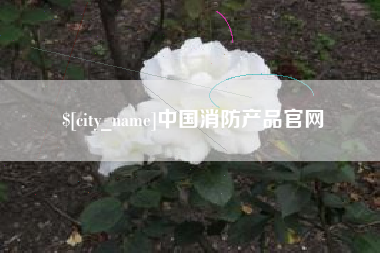 福州中国消防产品官网