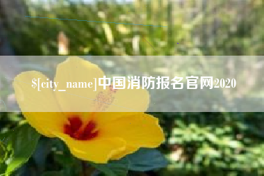 福州中国消防报名官网2020