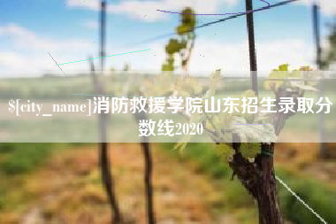 福州消防救援学院山东招生录取分数线2020