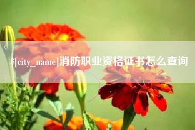 福州消防职业资格证书怎么查询