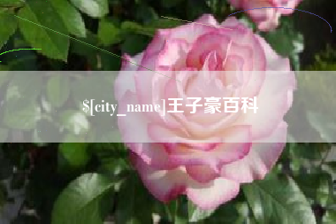 福州王子豪百科