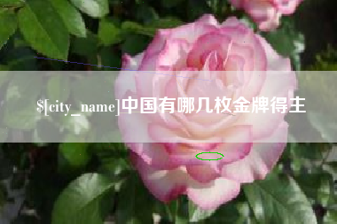 福州中国有哪几枚金牌得主