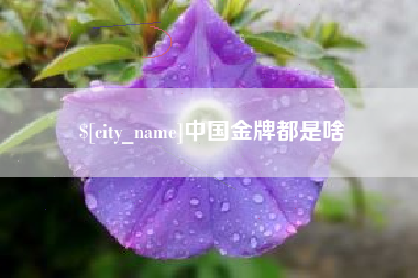 福州中国金牌都是啥