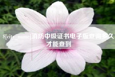 福州消防中级证书电子版查询多久才能查到