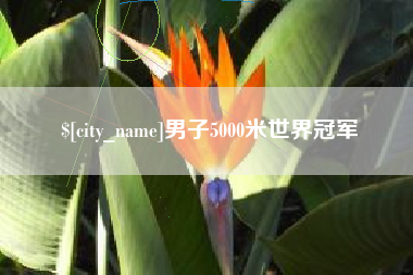 福州男子5000米世界冠军