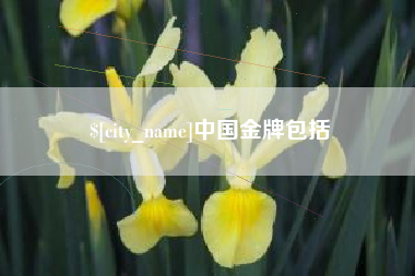 福州中国金牌包括