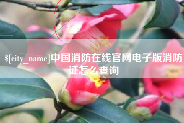 福州中国消防在线官网电子版消防证怎么查询