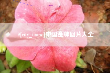 福州中国金牌图片大全