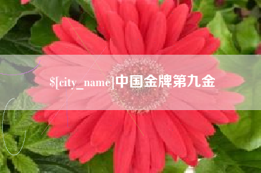 福州中国金牌第九金
