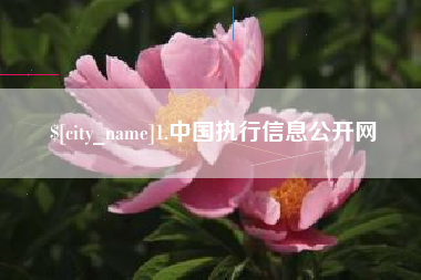 福州1.中国执行信息公开网