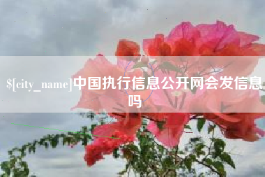 福州中国执行信息公开网会发信息吗