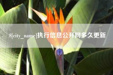 福州执行信息公开网多久更新
