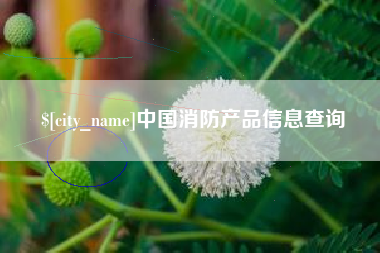 福州中国消防产品信息查询