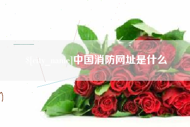 福州中国消防网址是什么