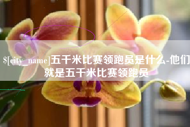 福州五千米比赛领跑员是什么-他们就是五千米比赛领跑员