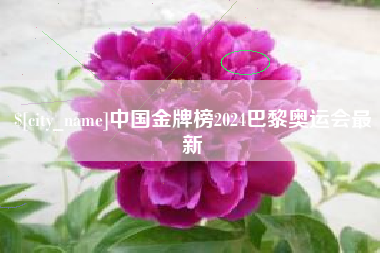 福州中国金牌榜2024巴黎奥运会最新