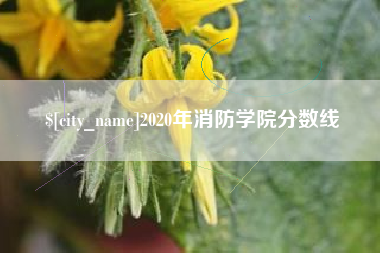 福州2020年消防学院分数线