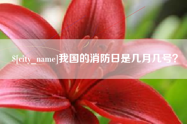 福州我国的消防日是几月几号？